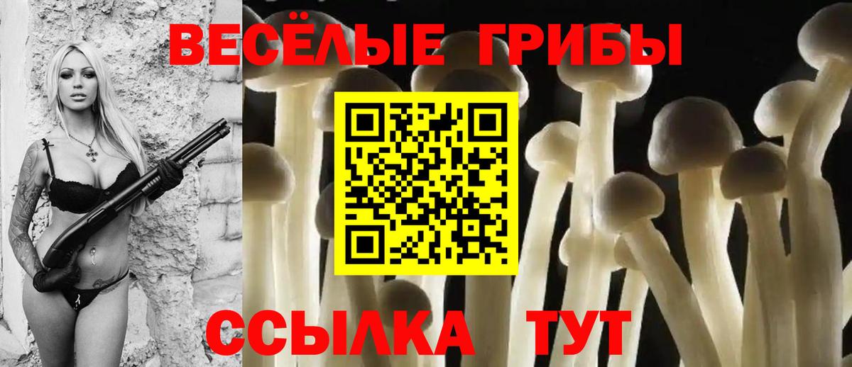 Псилоцибиновые грибы Magic Shrooms  где купить наркотик  Псилоцибиновые грибы мицелий  Партизанск  Вход с VPN 
