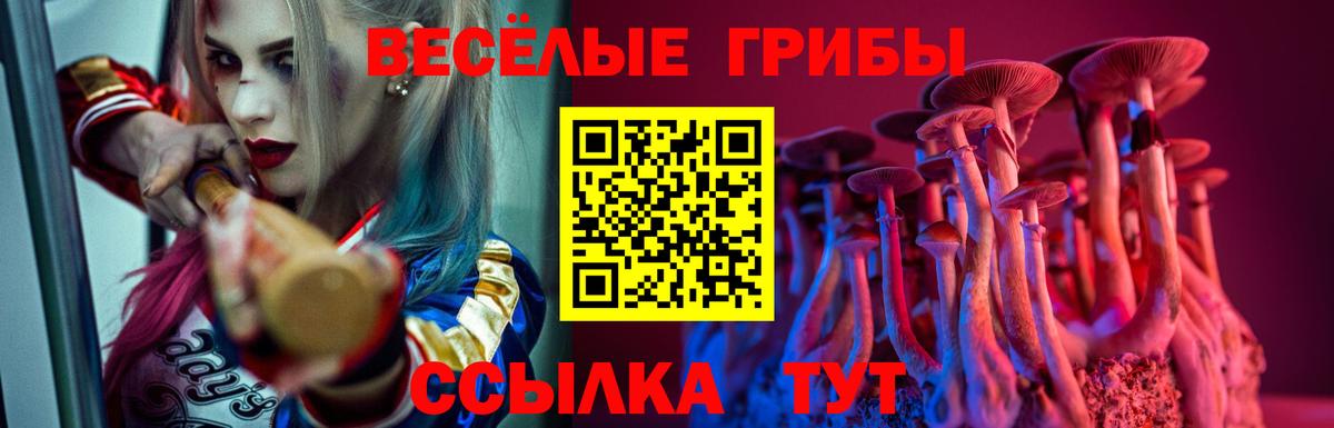 Галлюциногенные грибы Cubensis Партизанск